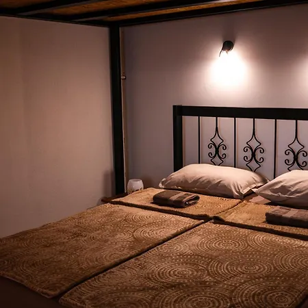 Nest *